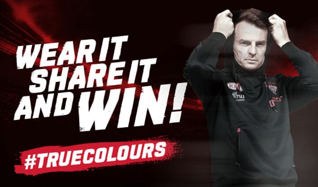 True Colours promotion