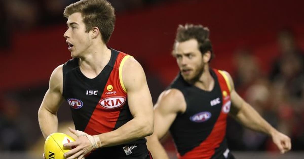 Brownlow medal guide