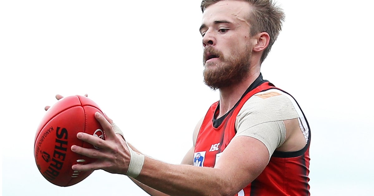Roy Ramsay VFL player review: Round eight