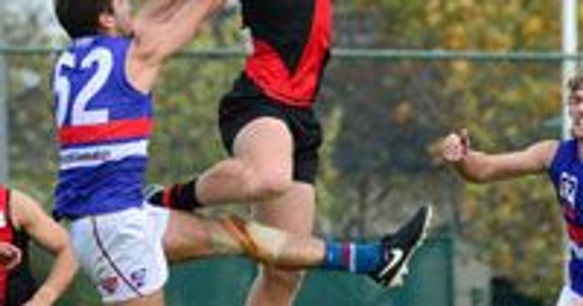 VFL What you need to know