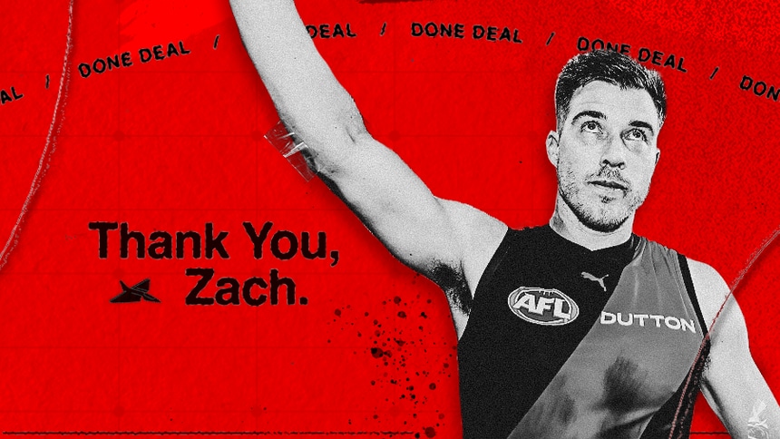 zach artic